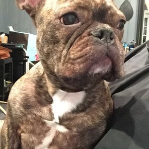 Meet your Posher, Ash